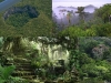 reserva-forestal-de-chiquibul-belice