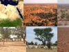 sahara-secuestro-de-carbono