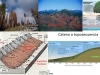 sequia-caifornia-agua-profunda-y-bosques-muertos
