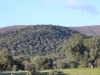 trujillo-dehesa-y-monte