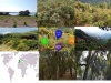 vinedos-maquis-encinares-carbono