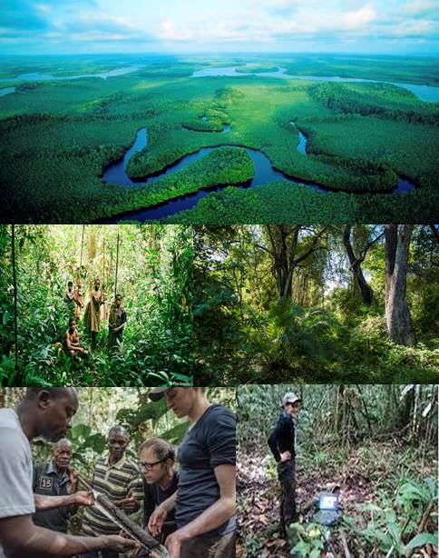 turberas-del-congo