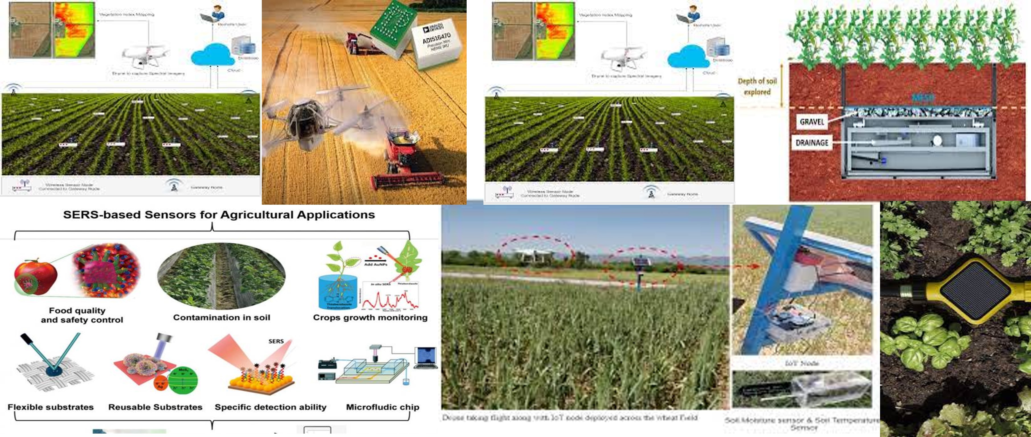 Sensores-sers-agricultura