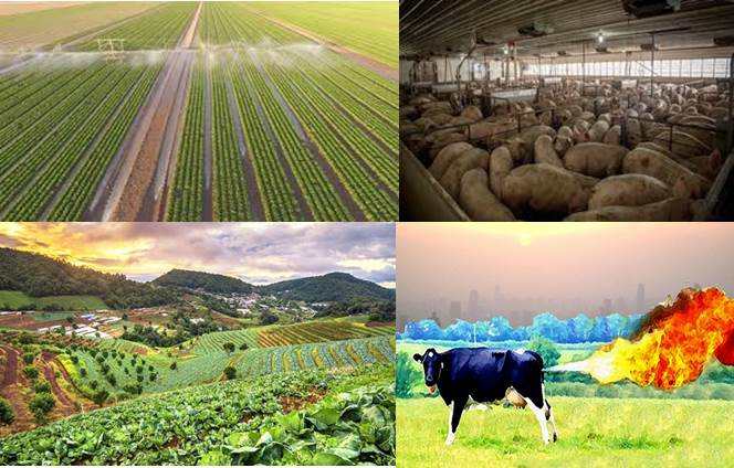 agriculturas-industrial-ecologica