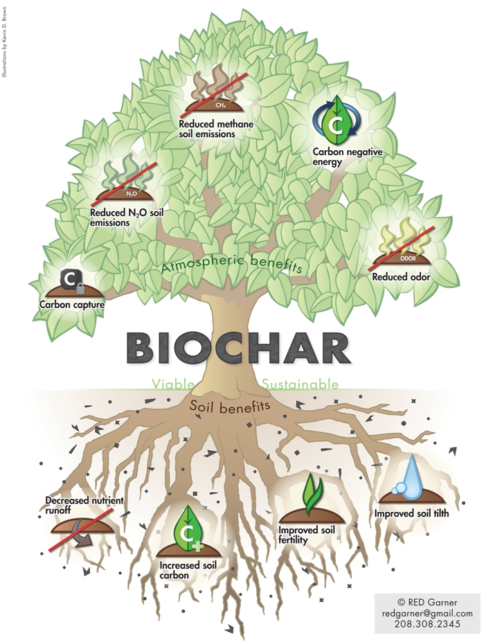biochar_benefits_tree-fuente-dairy-biochar