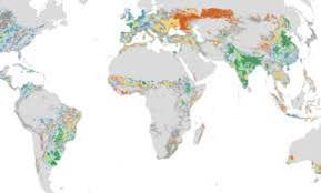 manure-world-soil-map