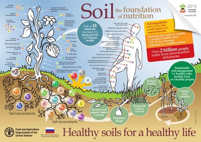 suelos-y-salud-certificado-de-suelos