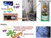 Plasma-lucha-cintra-plagas