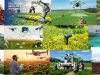 Sensores-agricultura-IA-etc