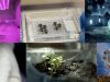 Suelo-lunar-agricultura
