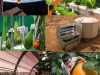 agricultura-celestial