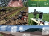 agricultura-de-precision-y-nuevas-tecnologias