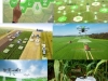agricultura-de-precision