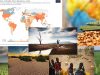 agricultura-desastres-naturales-impacto