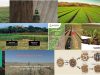 agricultura-estrategica