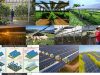 agrivoltaica-pequenos-granjeros