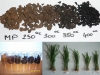 biocarbones-biomasa-torrefacta