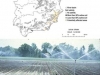 biocombistibles-en-tierras-marginales-salinas