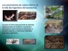 ingenieros-del-suelo-agricultura-sin-labranza