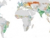 manure-world-soil-map
