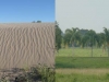 nanoclay