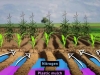 sistema-de-labranza-ferilizacion-nitrogenada-fertilidad-contaminac
