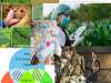 suelo-agraria-y-diversidad