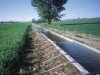 vertisoles-irrigacion