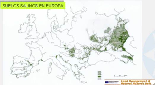 suelos-salinos-europa-alvarez-rogel