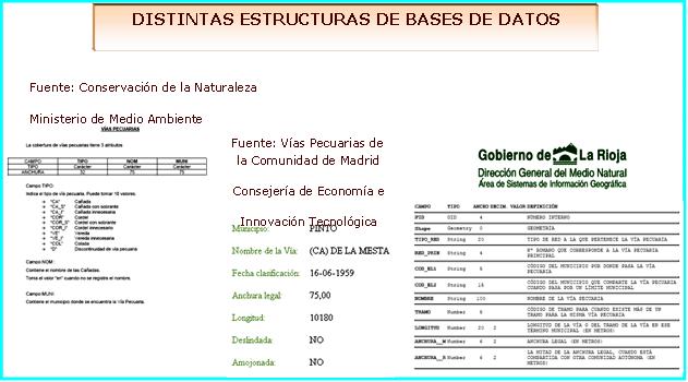 Jerarquización de la información