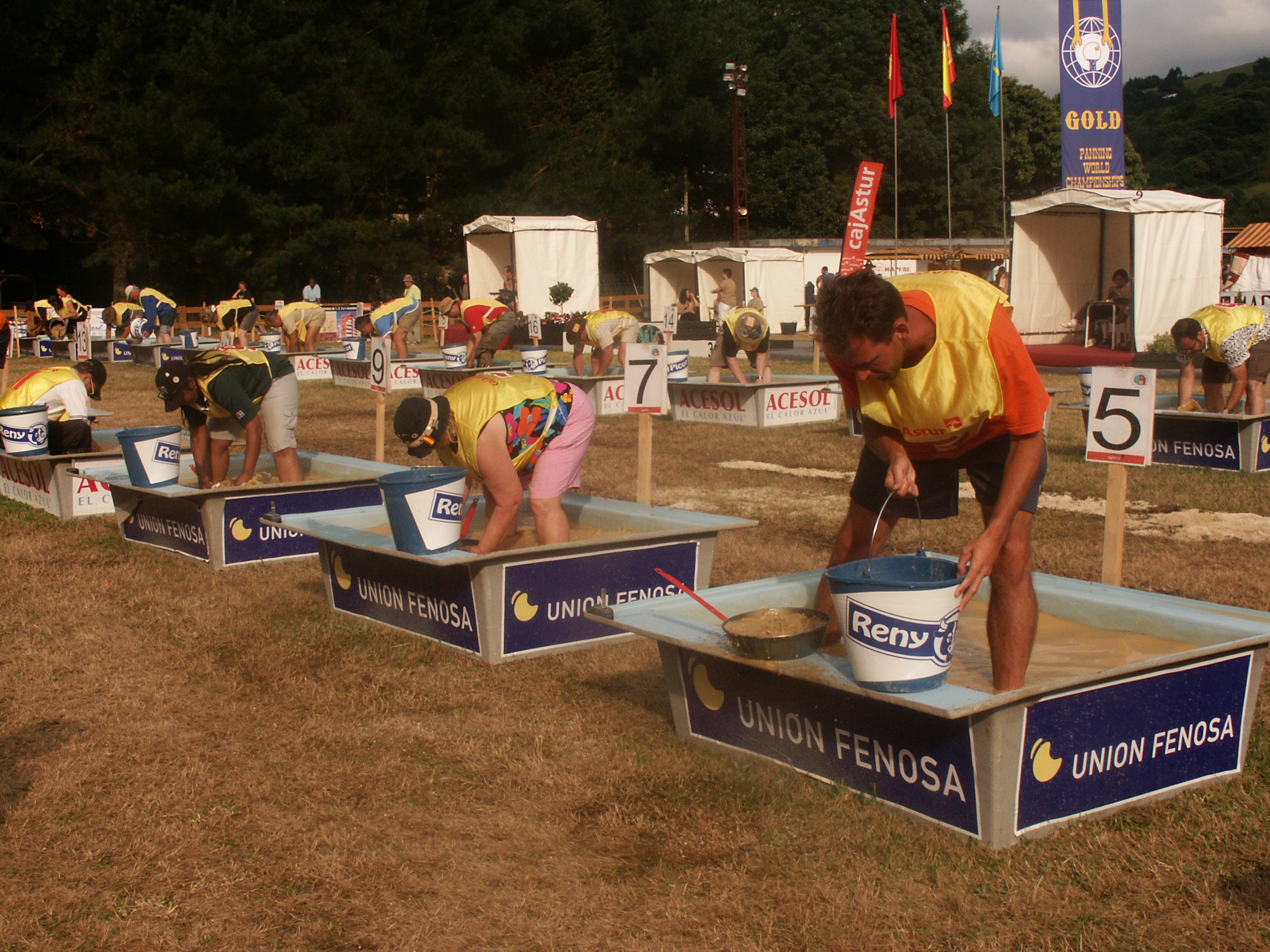 Campeonato Mundial: "bateo del oro" en Navelgas, Concejo de Tineo (Asturias)