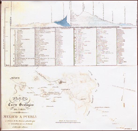Plano y Corte Geológico camino de México a Puebla. Bodo von Glümer. 1860. Servicio Geográfico del Ejército. México, nº 163.