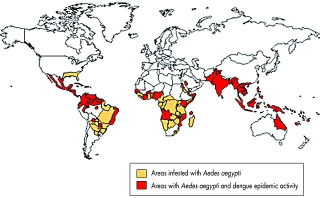 Distribución Aedes aegyptii