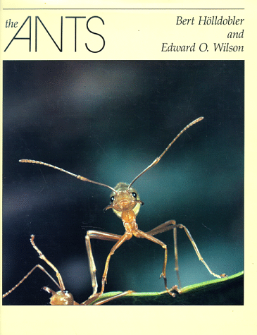 Libro The Ants