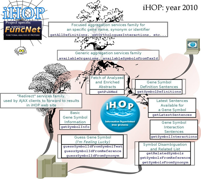 iHOP: year 2010