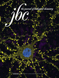 Journal of  Biological  Chemistry