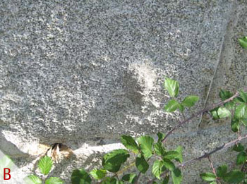 B - Sillar de granito biotítico con un enclave y desplacado.