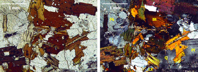 Aspecto del monzogranito observado al microscopio petrogrfico (ncoles paralelos-imagen izquierda y ncoles cruzados-imagen derecha). Bt-biotita (muy abundante), Q-cuarzo, Pl-plagioclasa y Fk-feldespato potsico