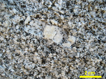 Monzogranito porfdico, con los caractersticos cristales de feldespato de gran tamao (cm)