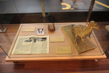 Diplodocus carnegii: 100 aos en el Museo Nacional de Ciencias Naturales (1913-2013)