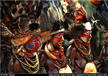 © Pedro Saura. Melpa women. Baiyer River area. Highlands of Papua New Guinea.1983