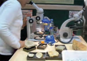 Observación de muestras de biominerales a diferentes escalas