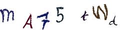 Image CAPTCHA