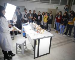 Ciencia aplicada a la conservación de nuestro Patrimonio Cultural. Pórtico de la Gloria - Instituto de Patrimonio Cultural de España (IPCE)