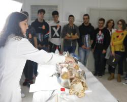 Ciencia aplicada a la conservación de nuestro Patrimonio Cultural. Pórtico de la Gloria - Instituto de Patrimonio Cultural de España (IPCE)