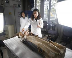 Ciencia aplicada a la conservación de nuestro Patrimonio Cultural. Pórtico de la Gloria - Instituto de Patrimonio Cultural de España (IPCE)