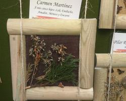 Creaciones botánico-artísticas. Mayores con Alzhiemer