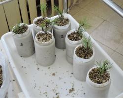 Instituto de Ciencias Agrarias, CSIC