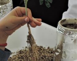 Instituto de Ciencias Agrarias, CSIC