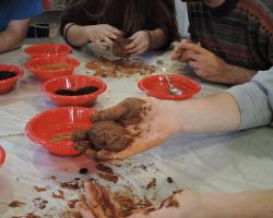 Creando Redes | Museo Nacional de Ciencias Naturales (MNCN)
